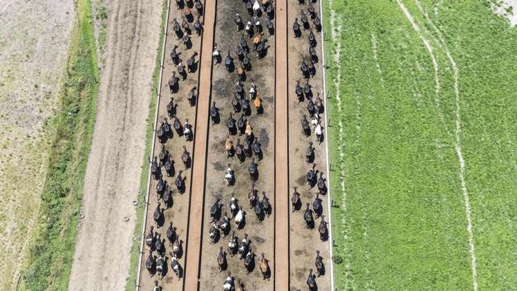 129-139 Tamatarau Road Tokomaru_15