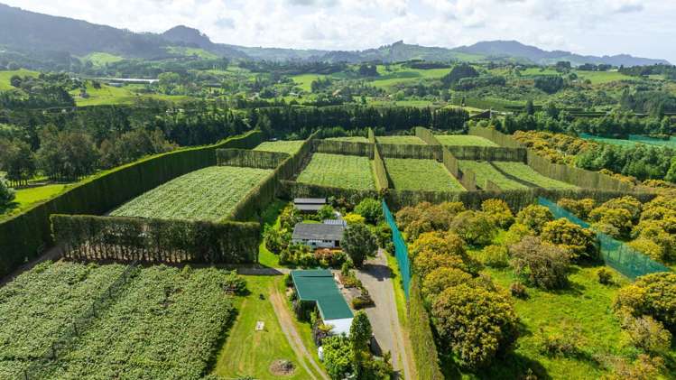 28 Lindemann Road Katikati_31