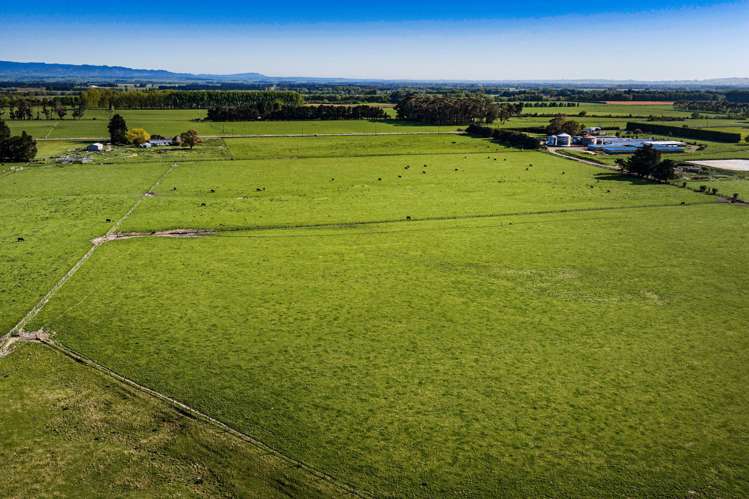 3637 State Highway 2 Takapau_6