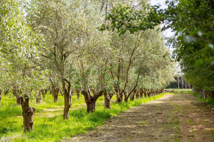 179 Bidwills Cutting Road Greytown_12