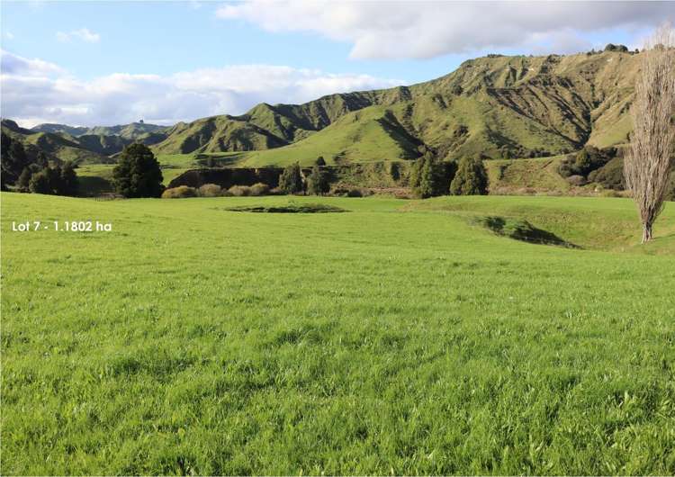 632 Mangaotuku Road Tututawa_13