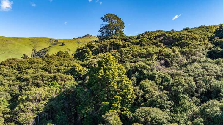 9 Harmans Track Little River_38