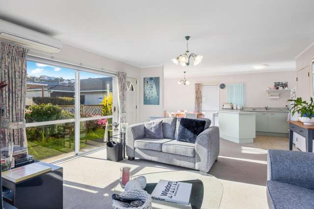 30 Macalister Place Miramar_3