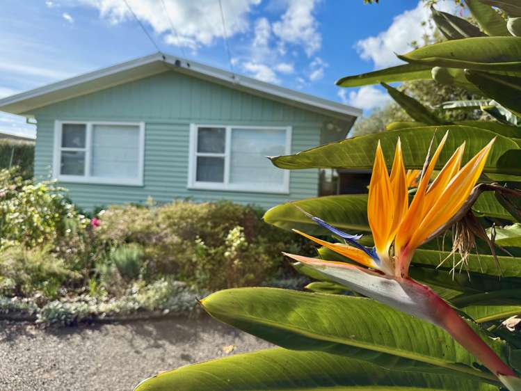 19 Lorenzen Bay Road Raglan_47