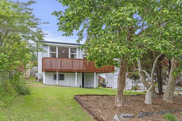 174 Huatoki Street Upper Vogeltown_17