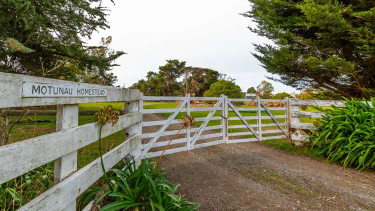 1553 Happy Valley Road Motunau_15