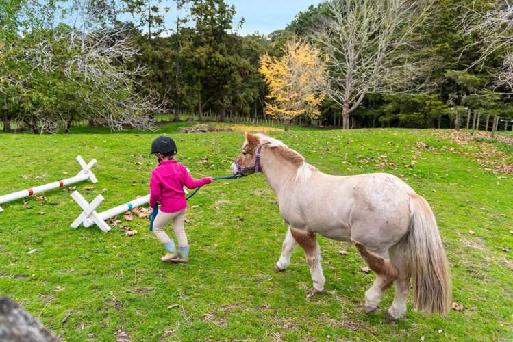 790 Old North Road Waimauku_33