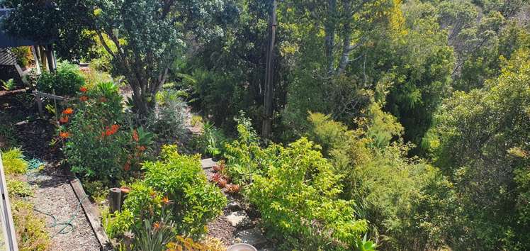 56b School Road Paihia_21