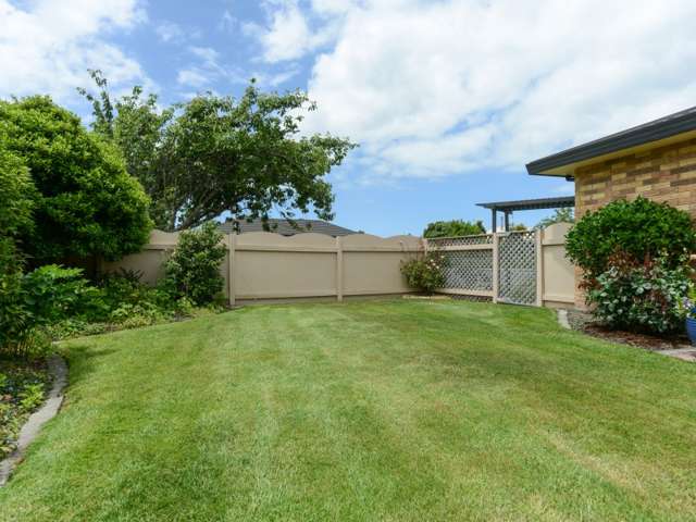 204 Auckland Road Greenmeadows_4