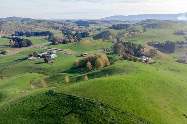 30 Mangahei Road Dannevirke_4