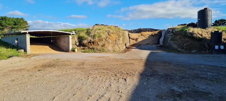 331 Warea Road Warea_7