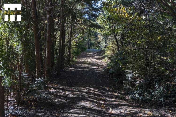 31 Totara School Road Totara North_22