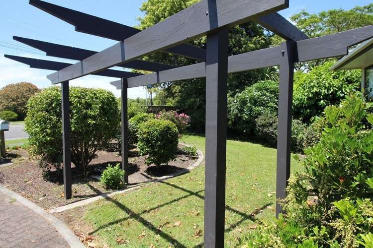 15 Wilson Street Bulls_45