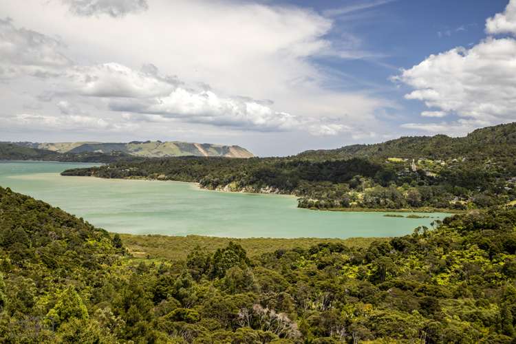 117 Victory Road Laingholm_1