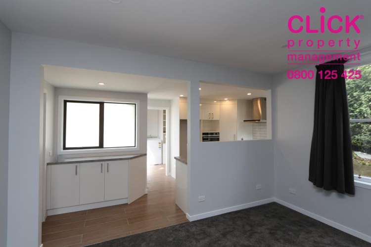 32 Walton Street Kaikorai_19