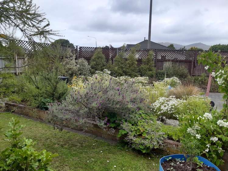 726 Ferry Road Woolston_16