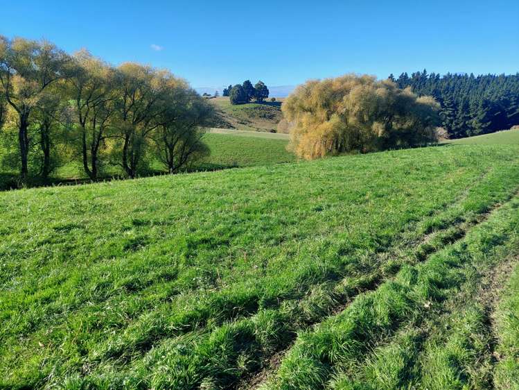 2 Essex Street Weston_6