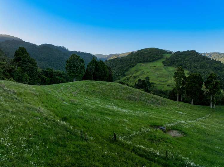 348D Rea Road Katikati_7