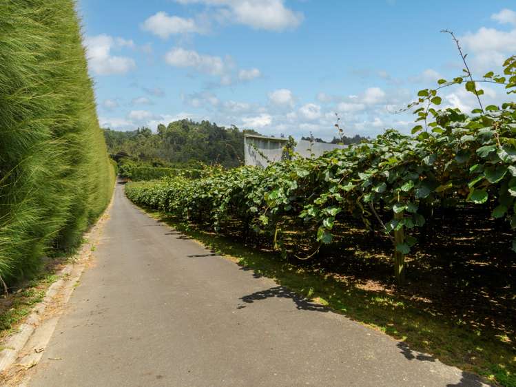 4a Ainsworth Road Wairoa_11