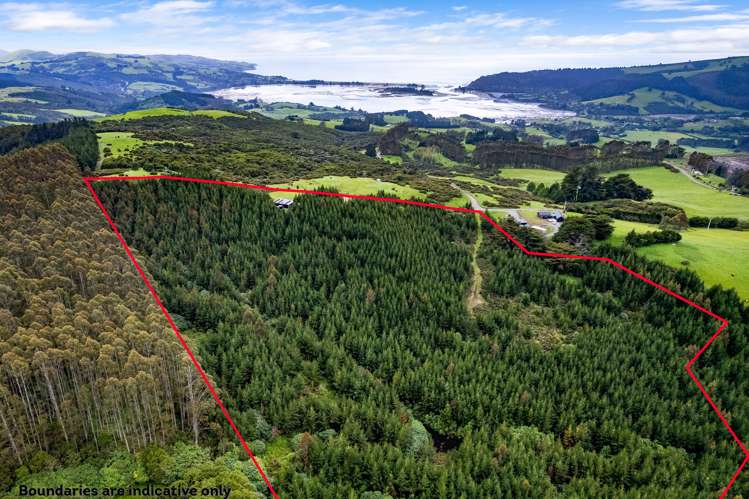 315 Double Hill Road Waitati_22