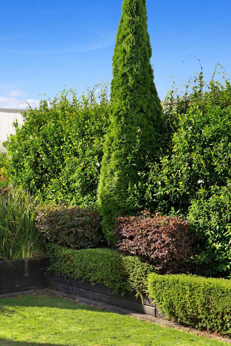 31 Vogel Place Te Aroha_43
