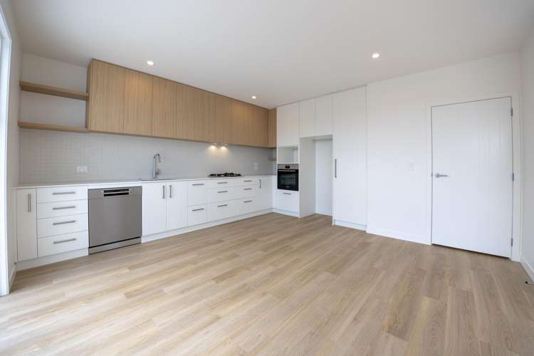 117 Marsh Avenue Morrinsville_3