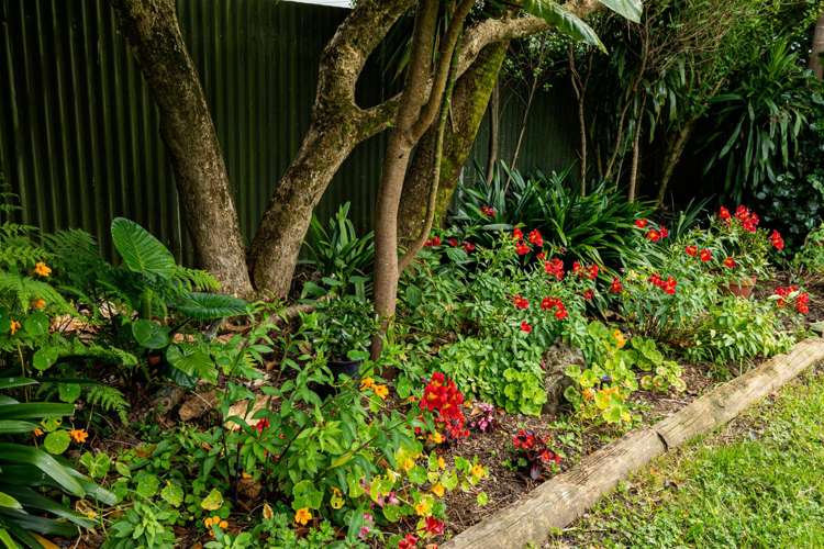 26 Tabitha Crescent Henderson_36