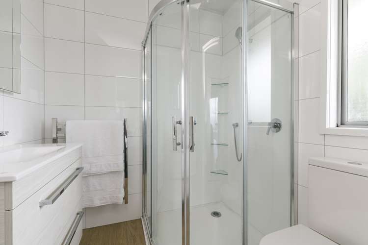 2b Pearce Street Vogeltown_14