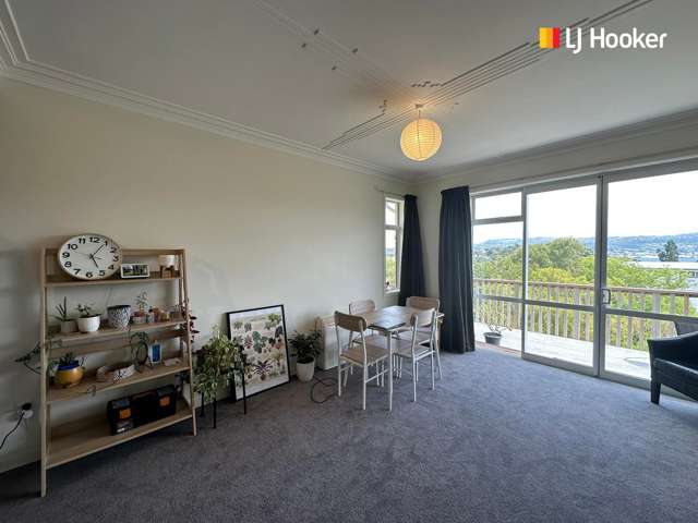 28 Spottiswoode Street Andersons Bay_1