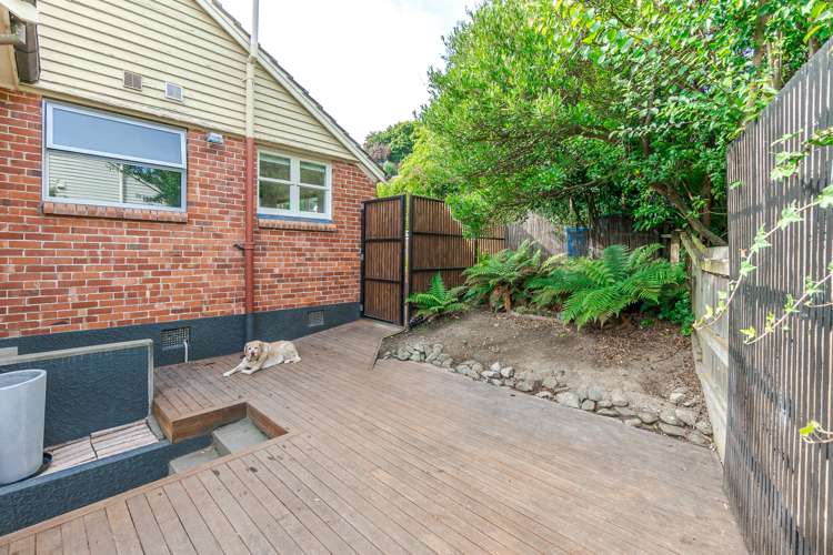 123 Douglas Street Highfield_20