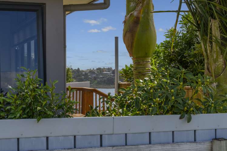 465b Ngatai Road Bellevue_18