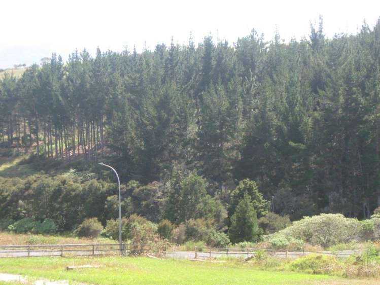 12 Pekama Drive Cable Bay_6