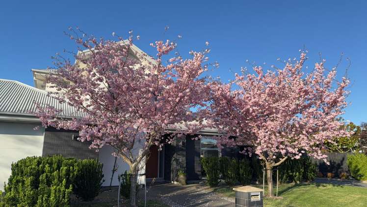 1 Canter Lane Aidanfield_30