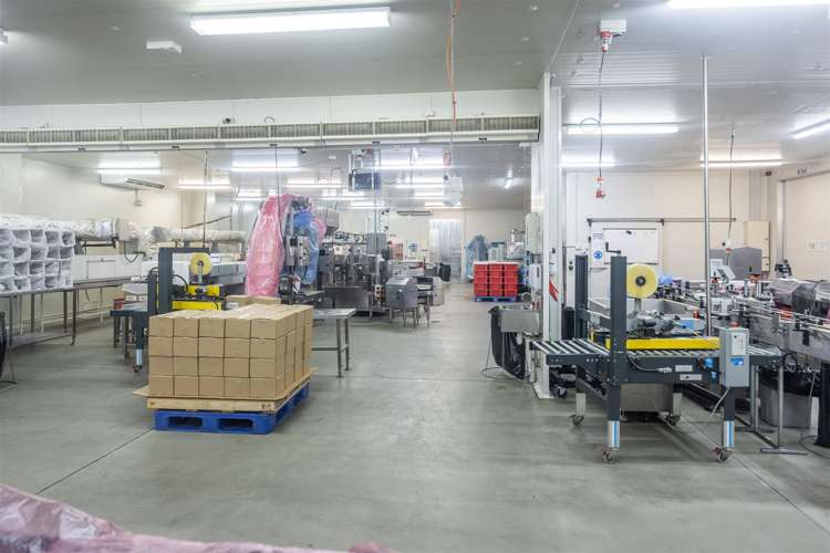 137 Maui Street Pukete_13