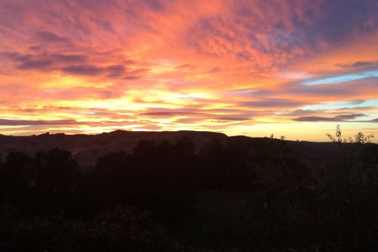 1086 Dartmoor Road Dartmoor_3