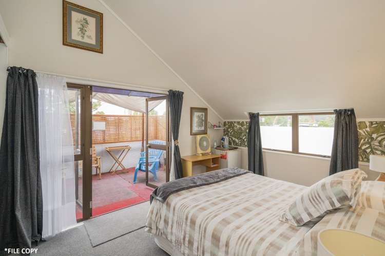 25 South Highway Whitianga_19