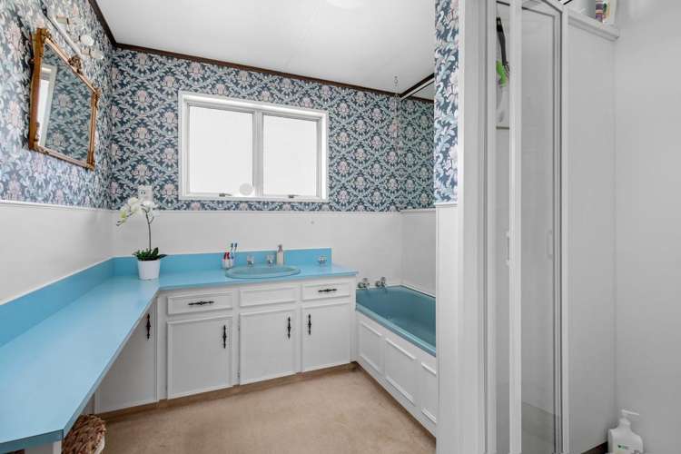 29 Arnott Street Alexandra_8