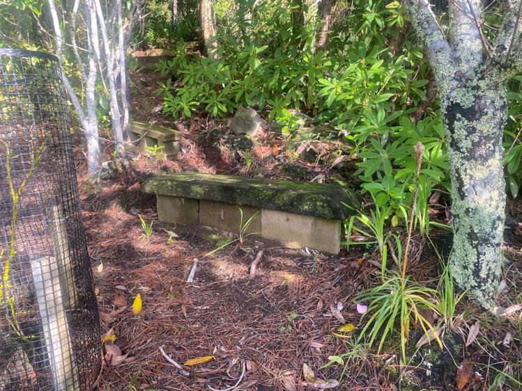 1 Gap Road Awhitu_13