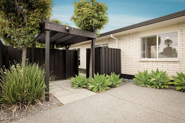 149A Eversham Road Mt Maunganui_1