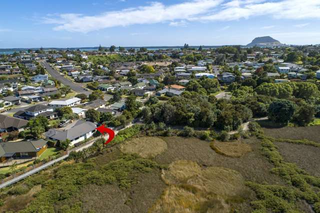 44b Sylvania Drive Matua_2