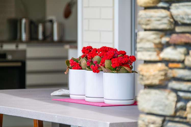 10 Discovery Drive Gulf Harbour_6