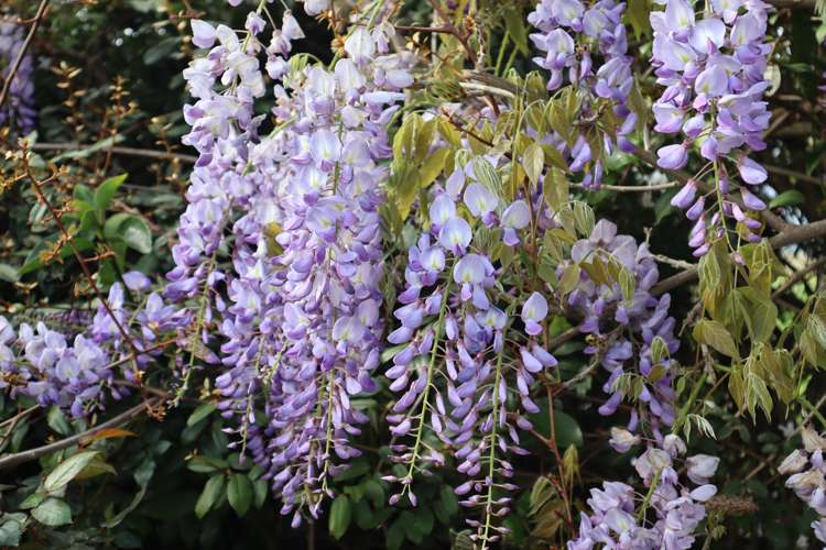 57 Pouto Road Dargaville_11