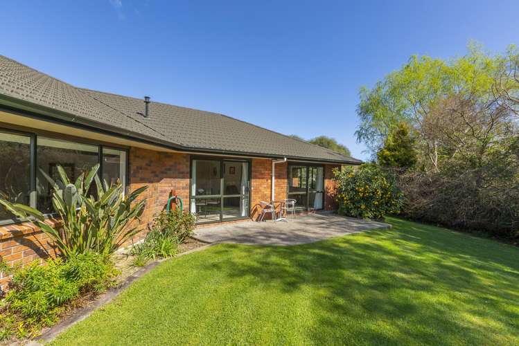 123 Maui Pomare Road Nikau Valley_18