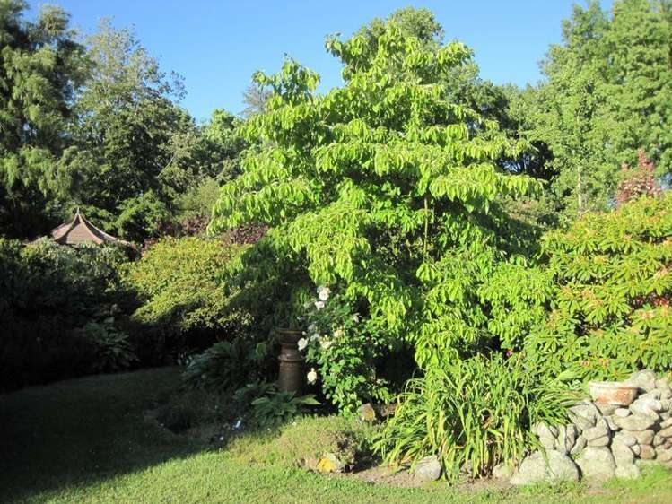 101 Main North Road Geraldine_7