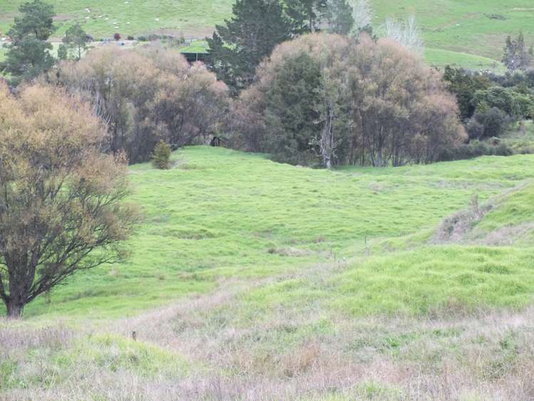 1884 Tangowahine Valley Road Dargaville Surrounds_10