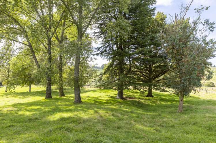 397 Arataki Road Mangakino_16