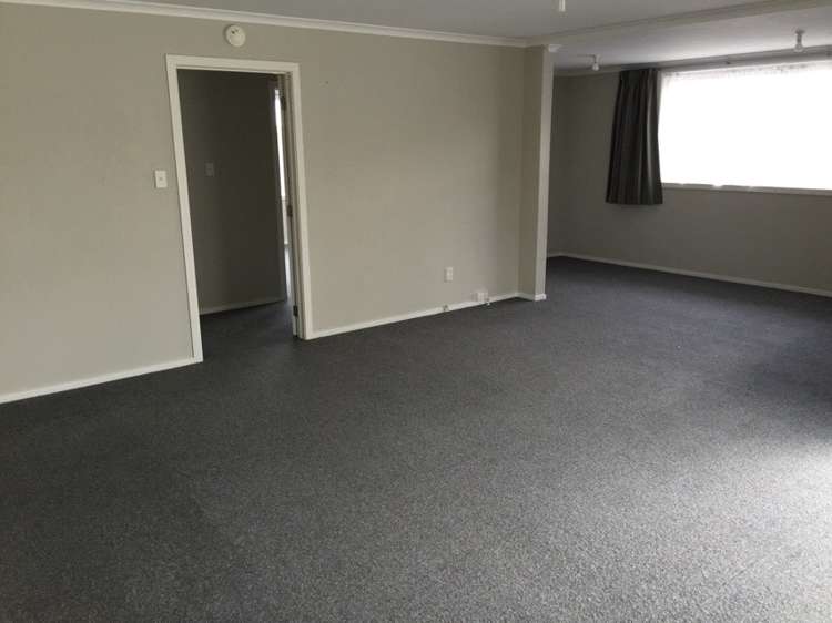 7c Bull Street Bulls_6