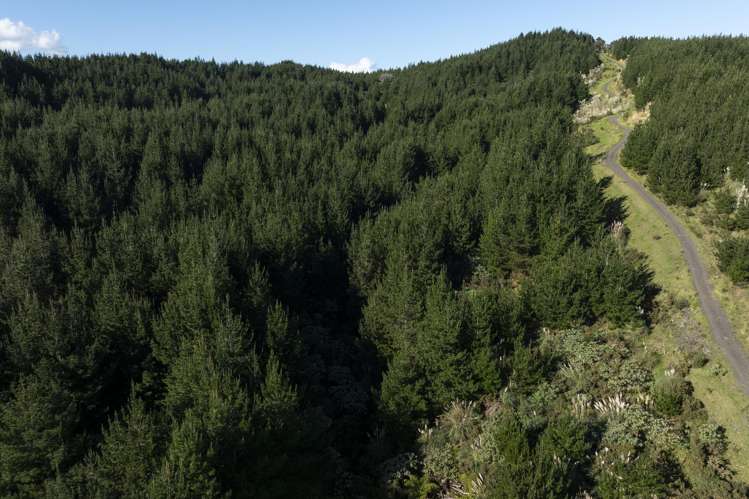 Lot 3 and 4/169 Tunatahi Road Panguru_9