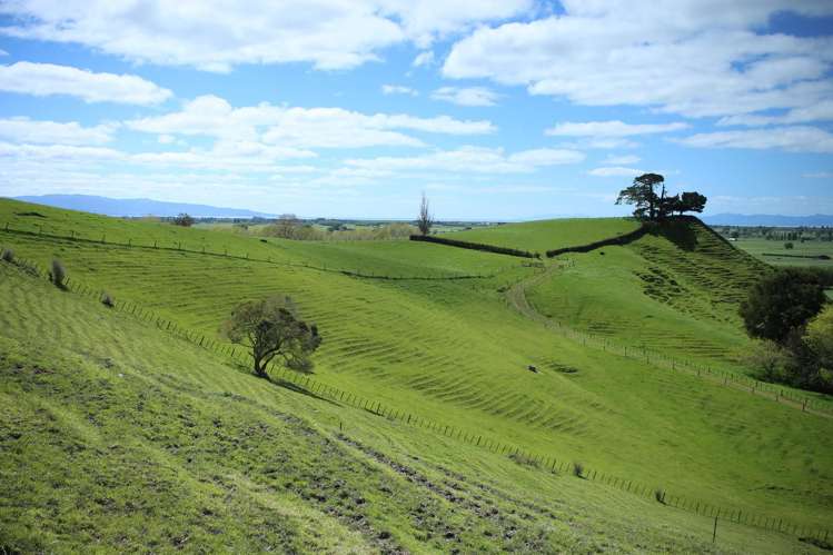 399 Mahuta Road Mangatarata_7