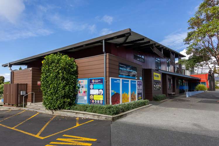 22 Wilton Street Grey Lynn_13